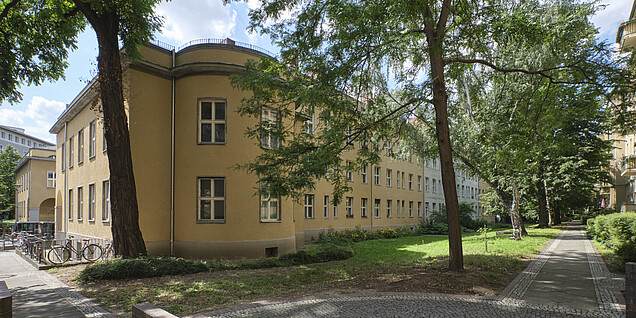image-257