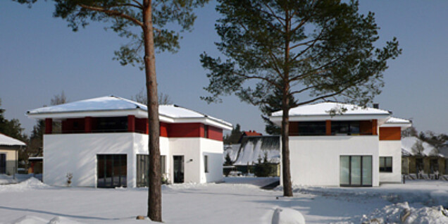 image-1004