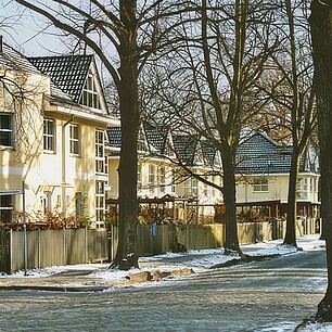 image-1025