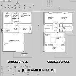 image-1011